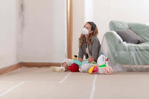 Reliable Black Mold Remediation contractor in Stafford, VA by Car Mold Remediation